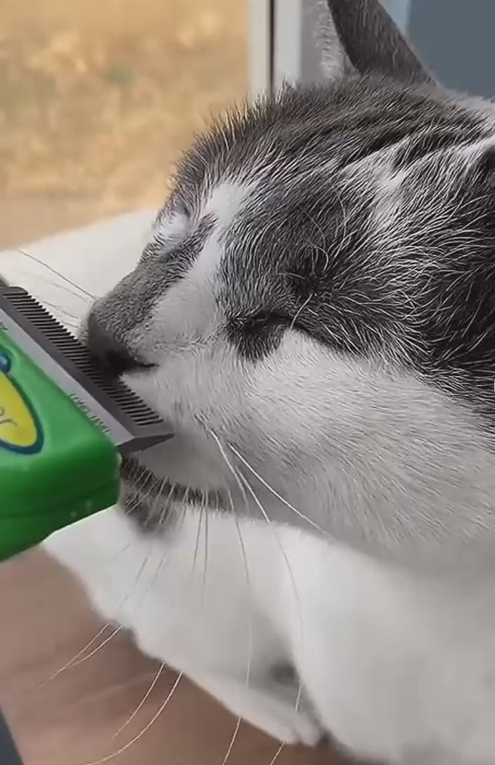 Eliminate hair loss in your furry friend! IDEAL for DOGS and CATS